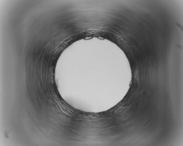 X0000099970868200806131530