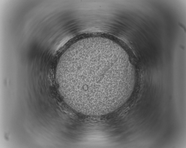 X0000099970871200806131530