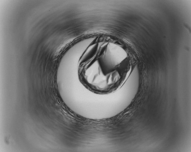 X0000099970872200806131530