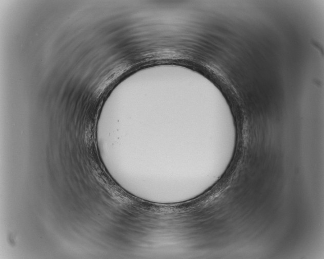 X0000099970873200806131530