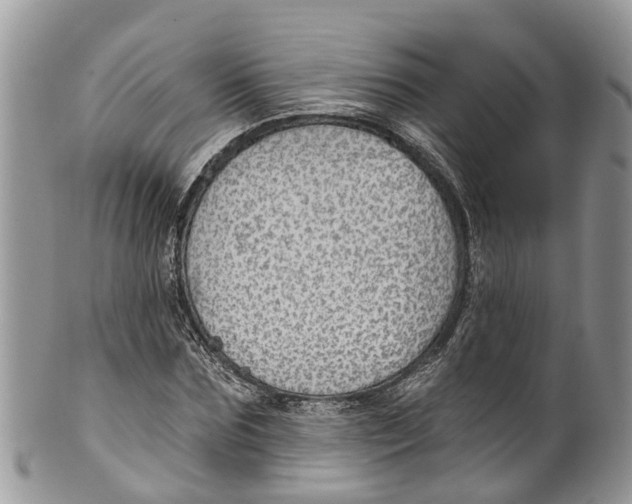 X0000099970875200806131530