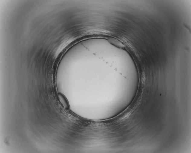 X0000099970877200806131529