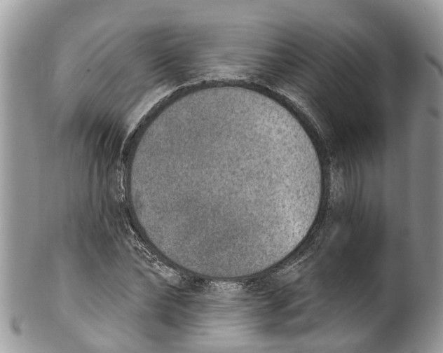 X0000099970878200806131529