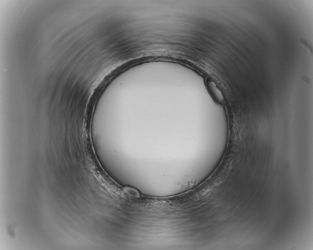 X0000099970880200806131529