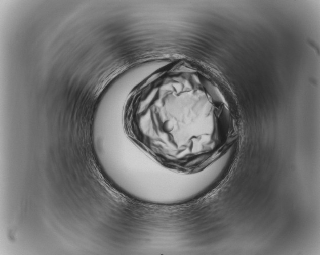 X0000099970881200806131529