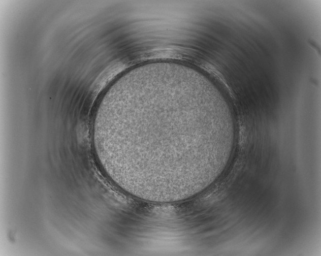 X0000099970882200806131529