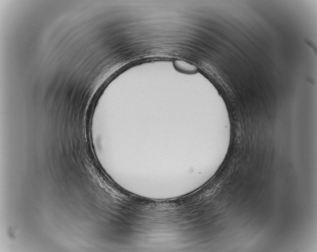 X0000099970884200806131529