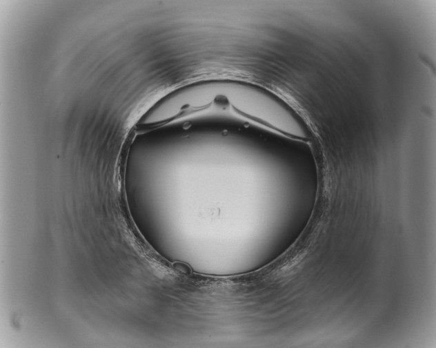 X0000099970885200806131529