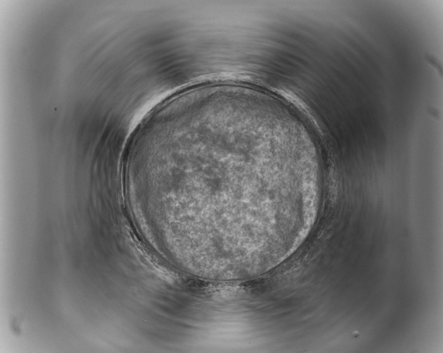 X0000099970886200806131529