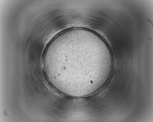 X0000099970887200806131529