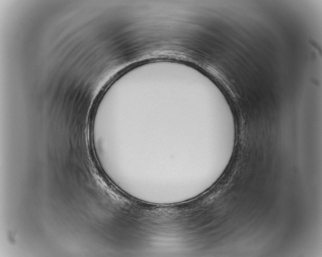 X0000099970888200806131529