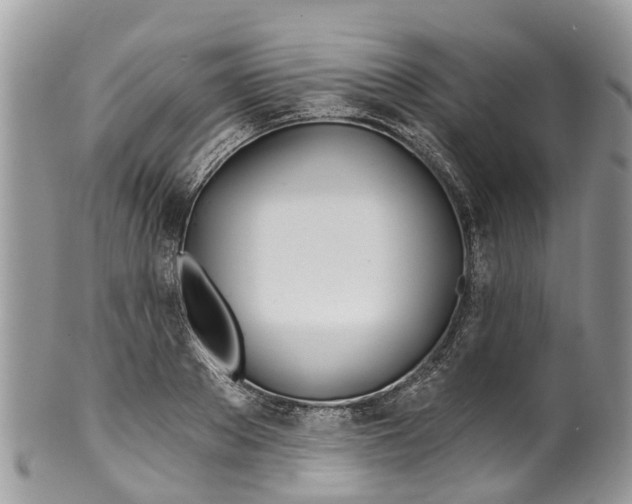 X0000099970889200806131529