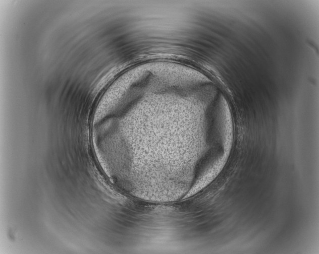 X0000099970890200806131529