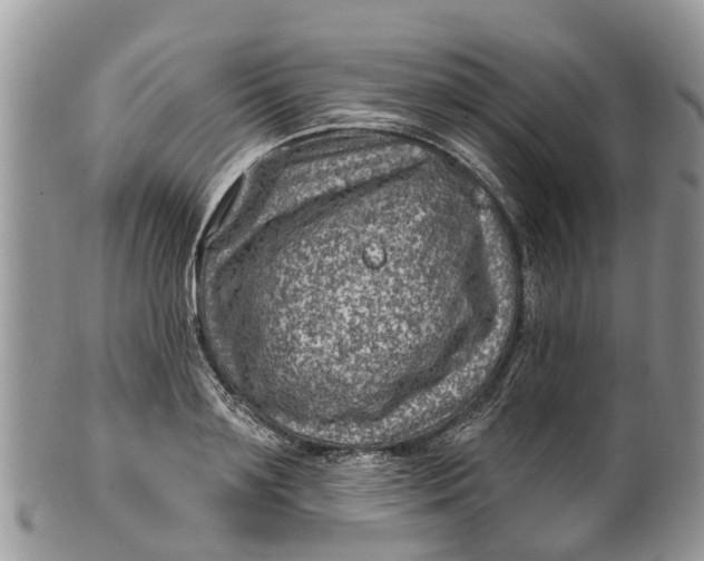 X0000099970891200806131529