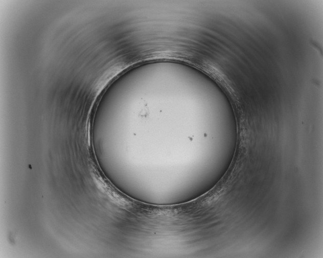 X0000099970892200806131529