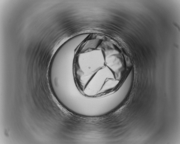 X0000099970893200806131529