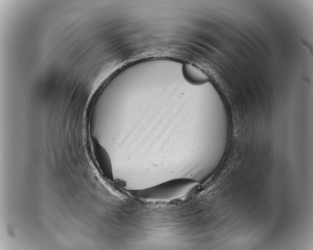 X0000099970894200806131529