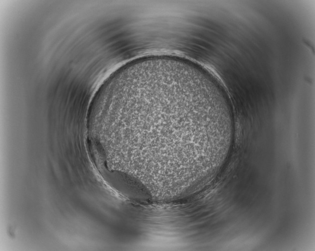 X0000099970895200806131529