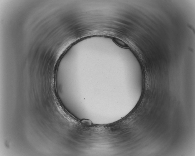 X0000099970896200806131529