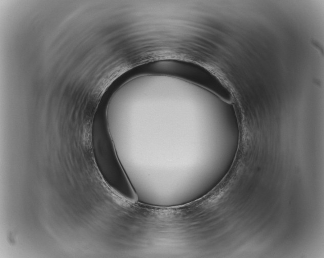 X0000099970897200806131529