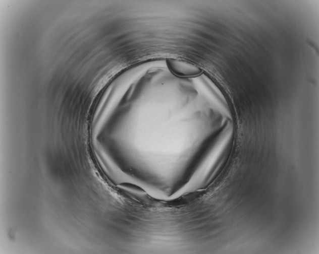 X0000099970898200806131529