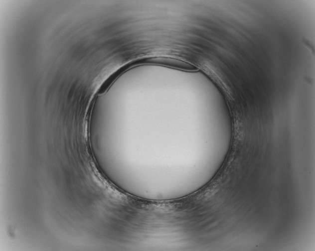 X0000099970900200806131529