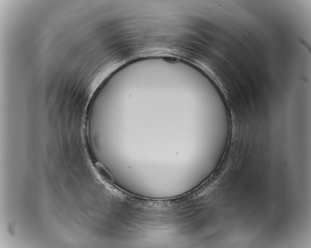 X0000099970901200806131529