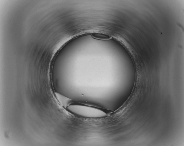 X0000099970902200806131529