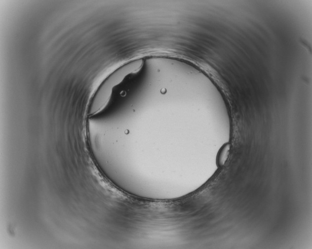 X0000099970904200806131529