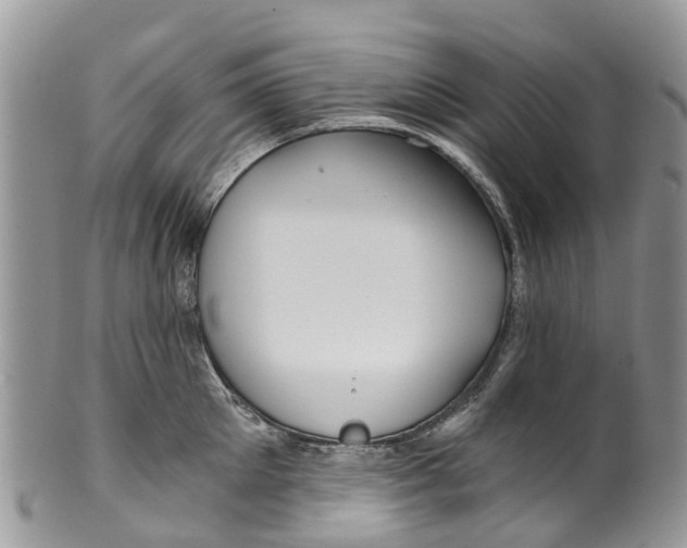 X0000099970905200806131529