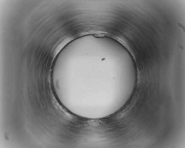 X0000099970906200806131529