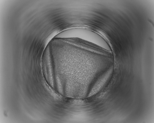 X0000099970907200806131529