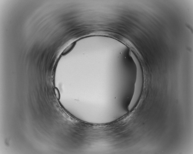 X0000099970908200806131529