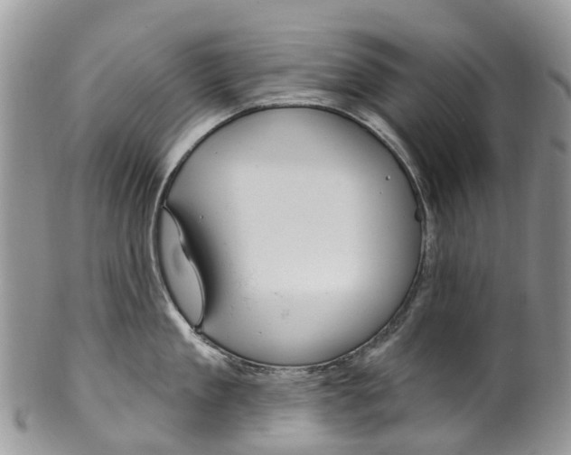 X0000099970909200806131529