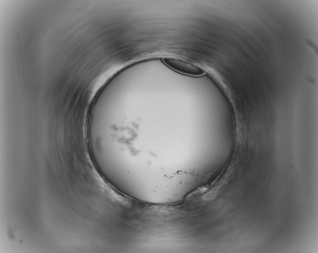 X0000099970910200806131529