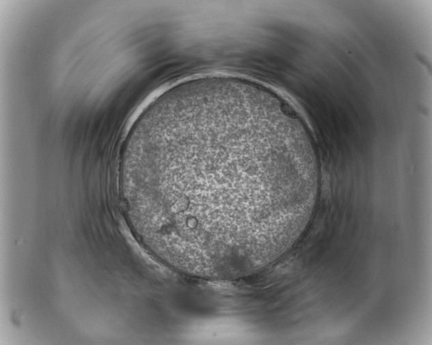 X0000099970911200806131529