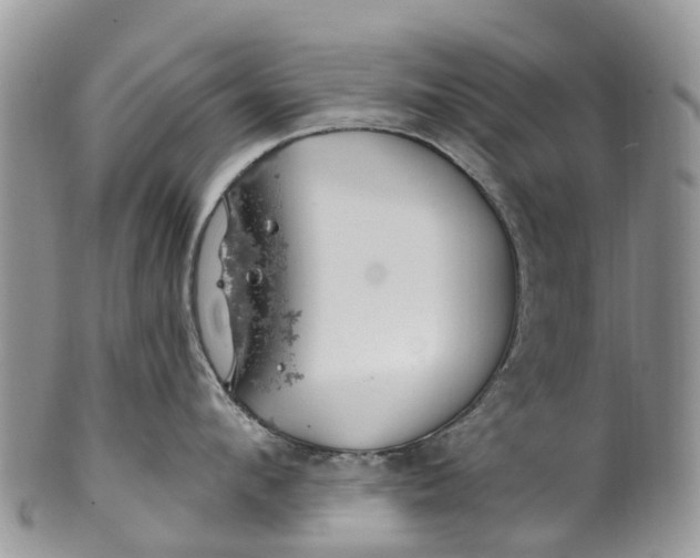 X0000099970912200806131529