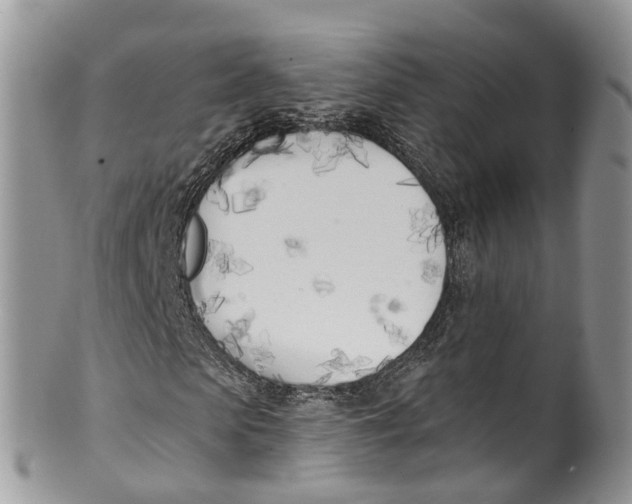 X0000099970913200806131528