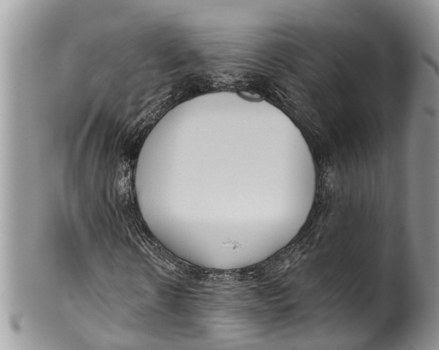 X0000099970914200806131528