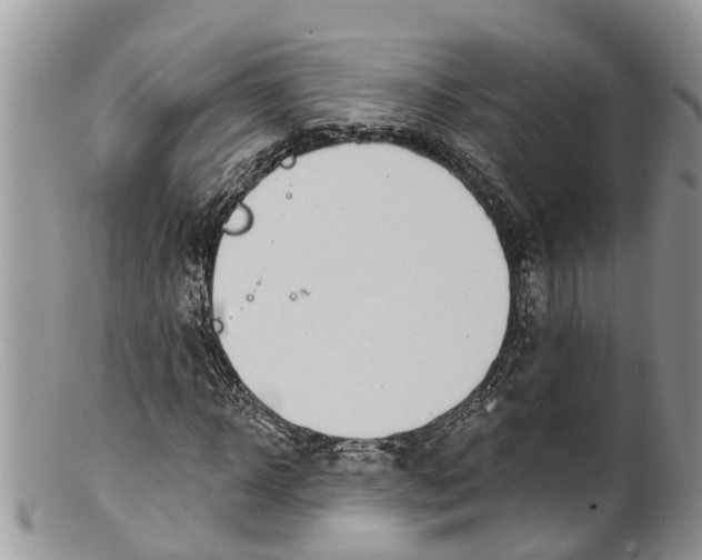 X0000099970918200806131528