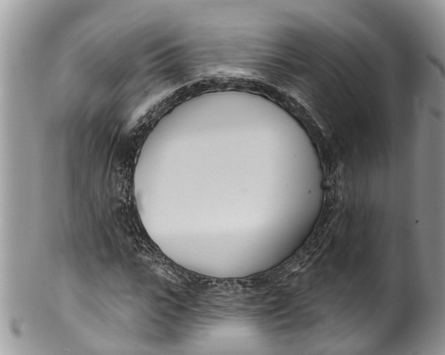 X0000099970919200806131528