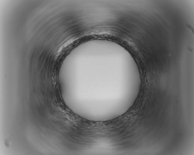 X0000099970920200806131528