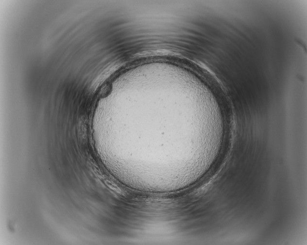 X0000099970921200806131528