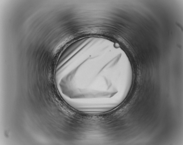 X0000099970922200806131528