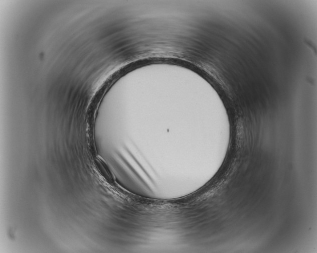 X0000099970926200806131529