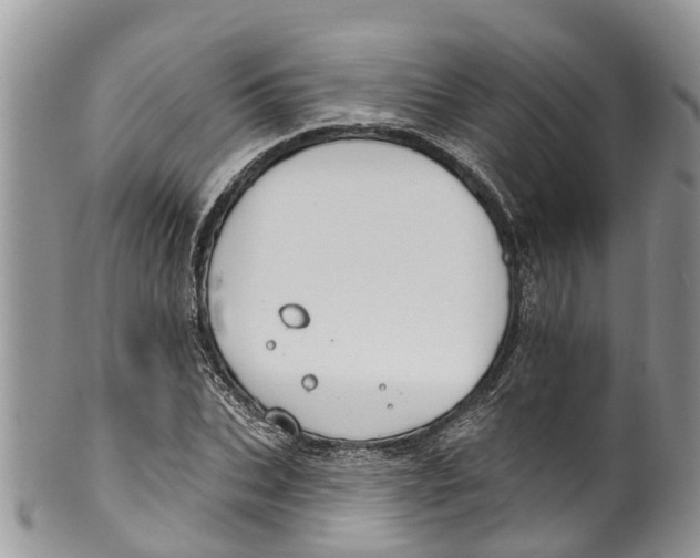 X0000099970927200806131529