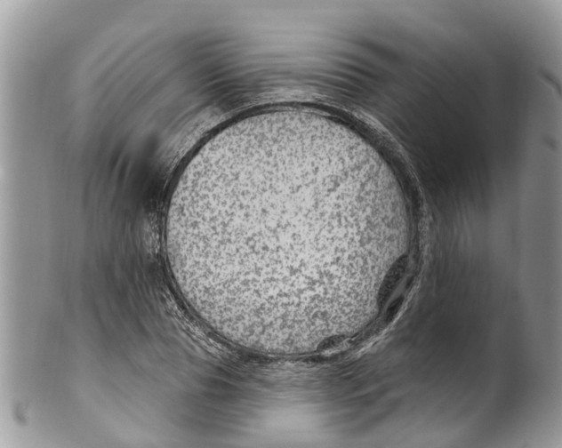 X0000099970929200806131529