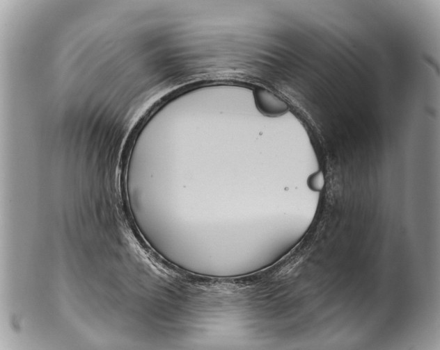 X0000099970932200806131529