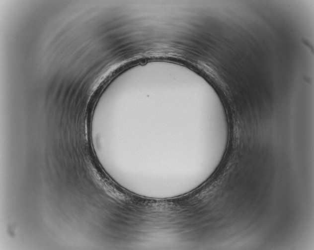 X0000099970934200806131529