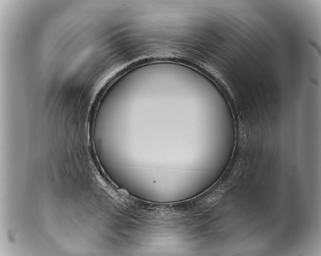 X0000099970935200806131529